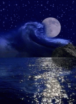 boa-nite-good-night.gif