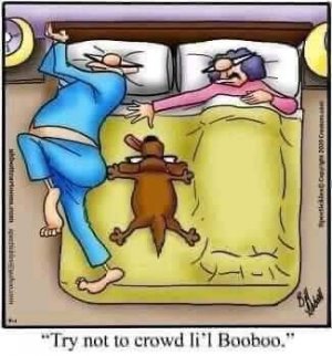FB_IMG_1671492653542.jpg
