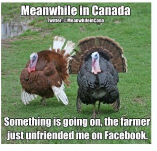 turkey unfriend.jpg
