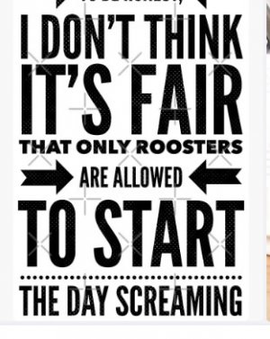 Roosters Screaming.jpg