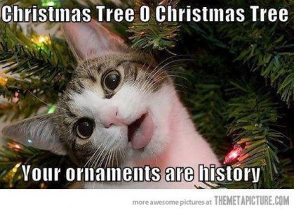 cat xmas tree.jpg