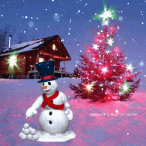 1548d5cc28664b3885e2fe52b214387d[1].gif