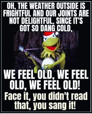 FB_IMG_1671329786765.jpg