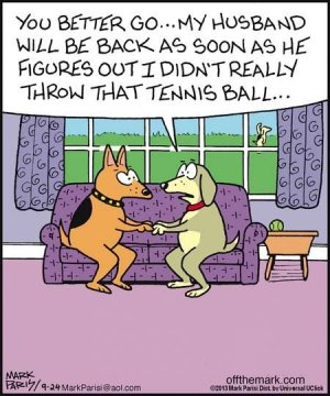 Dog Cartoon.jpg