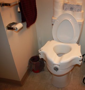 toilet1.JPG