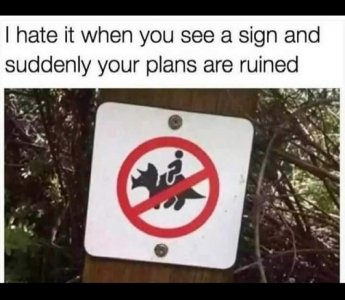 plans.jpg