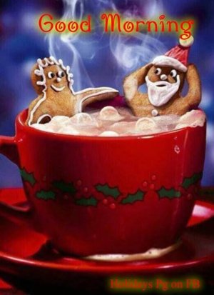 790a3b009d55db71d6d938e3fcef6f10[1].jpg