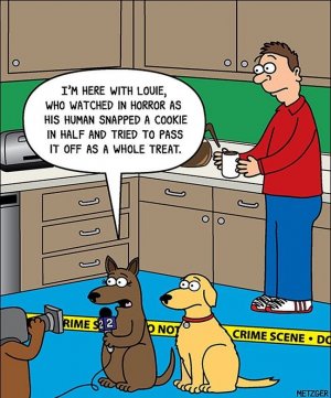dogtreat.jpg