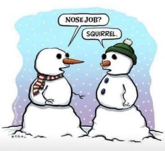 squirrel job.jpg