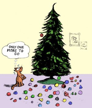 52c08b28840fed36da37b2e714beb24b[1].jpg
