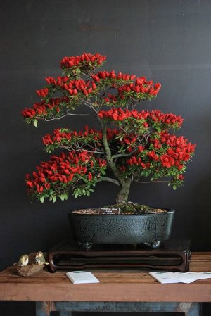 Tumblr_l_220641261857722.jpg