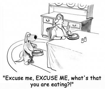 Dog Eating.jpg