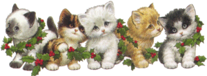 Kittys.gif