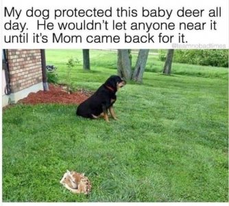 1736BC77-56D8-4E09-AE08-75AB6BCE4906.jpeg