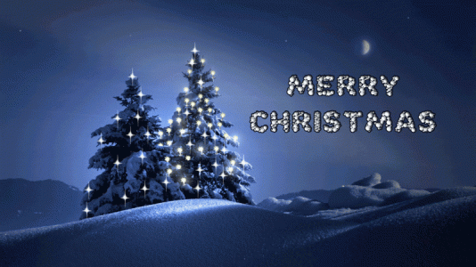 treelights.gif