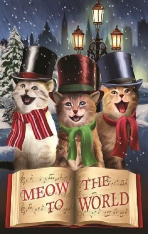 meow to he world.jpg
