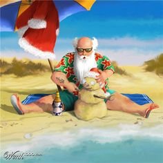 1c3f34b8f81c608e0c52db8c8223e1ae--tropical-christmas-beach-christmas.jpg