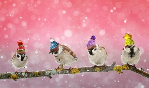winter.jpg