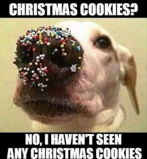 3391a0ccc04481eb60c6aaa51e77c487[1].jpg
