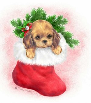 PENNYPARKERPUPPYCHRISTMAS.jpg