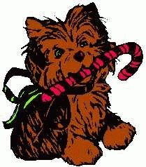 puppy4.jpg