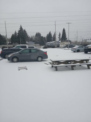 IMG_20221223_083733.jpg
