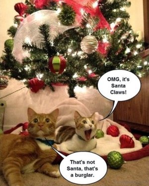 Omg-Its-Santa-Claws.jpg