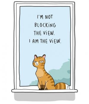 view.jpg