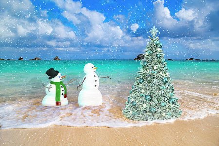 snowy-couple-on-christmas-tree-beach-betsy-knapp.jpg