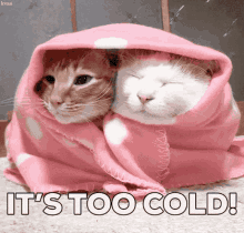 cold-freezing.gif