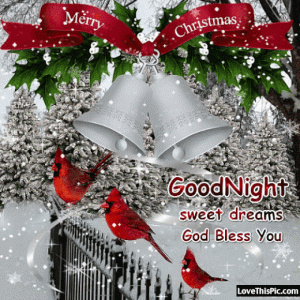 292985-Merry-Christmas-Goodnight.gif