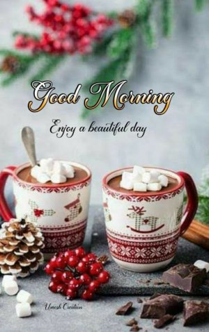 0b235d9248185facbf0803aae526cdb7[1].jpg