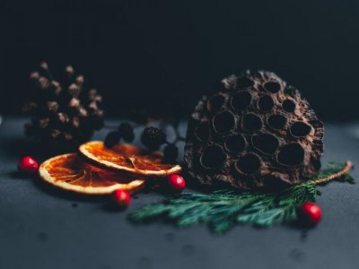 christmas dried oranges.jpg