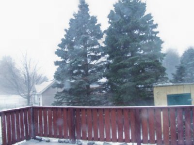 snow 12-23-22.jpg