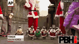 These-Christmas-Penguins.gif