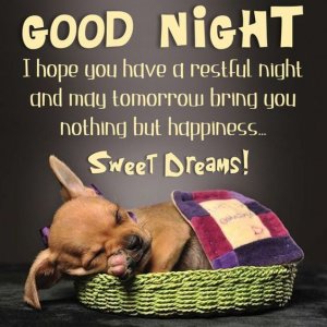 4cbe2ae54135b6fde424759a1d02ad9b[1].jpg