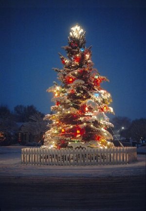 christmas tree ext 2.jpg