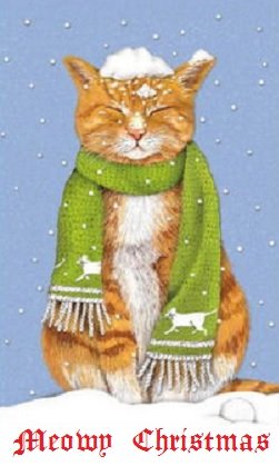 yellow cat.jpg