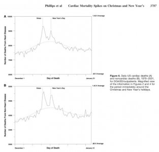 excess holiday deaths.jpg