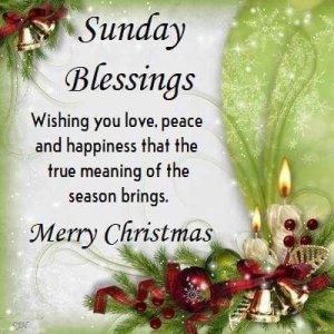 c373812a1e1eda74508b1340a71c3a72[1].jpg