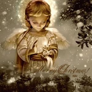 6FB5737E-B34B-4831-B8F8-C3C49988EBA7.gif