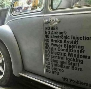 beetle.jpg