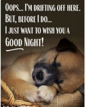 good night oops.jpg