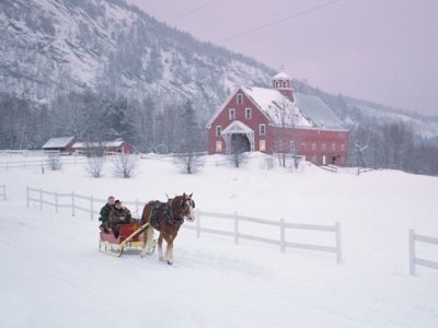 147233120519816bb98710330e60fef7---winter-winter-snow.jpg