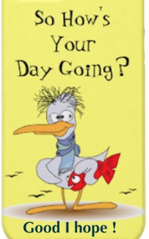 How day  copy.jpeg
