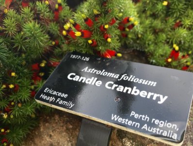 1672154655187.jpeg 1672154655187.jpeg