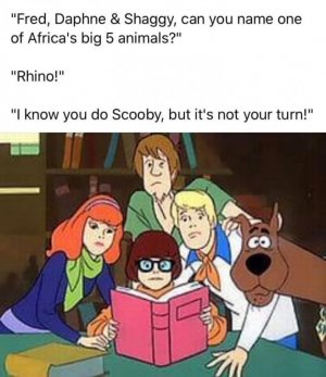 1A5A0A12-0F60-43EE-9AD8-B7AF8BD0BCBD.jpeg