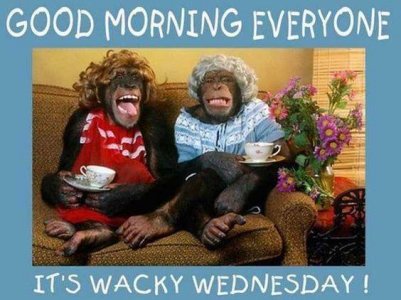 wed7.jpg