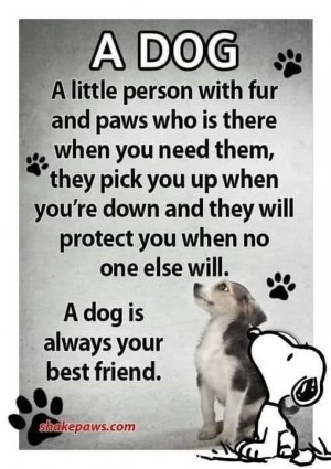 FB_IMG_1672222263356.jpg