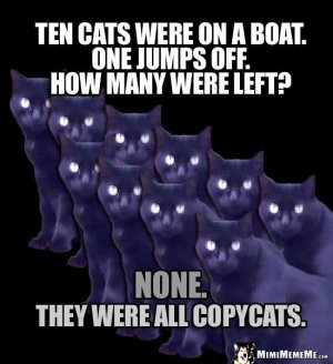 28db0f5d6e900ab7f1fb46a5382df0a0--cat-jokes-funny-cat-memes.jpg